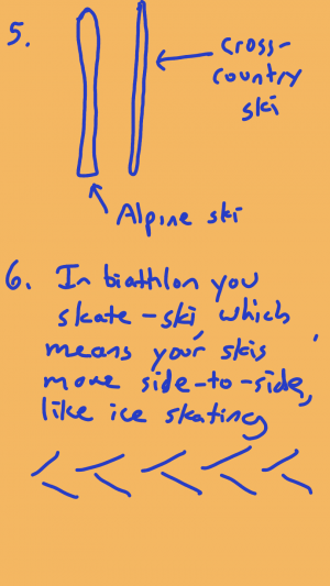 Cross-country skis are much skinnier than alpine skis and have a straighter shape. In biathlon, skiers skate-ski, which means your skis move side-to-side, like ice skating.